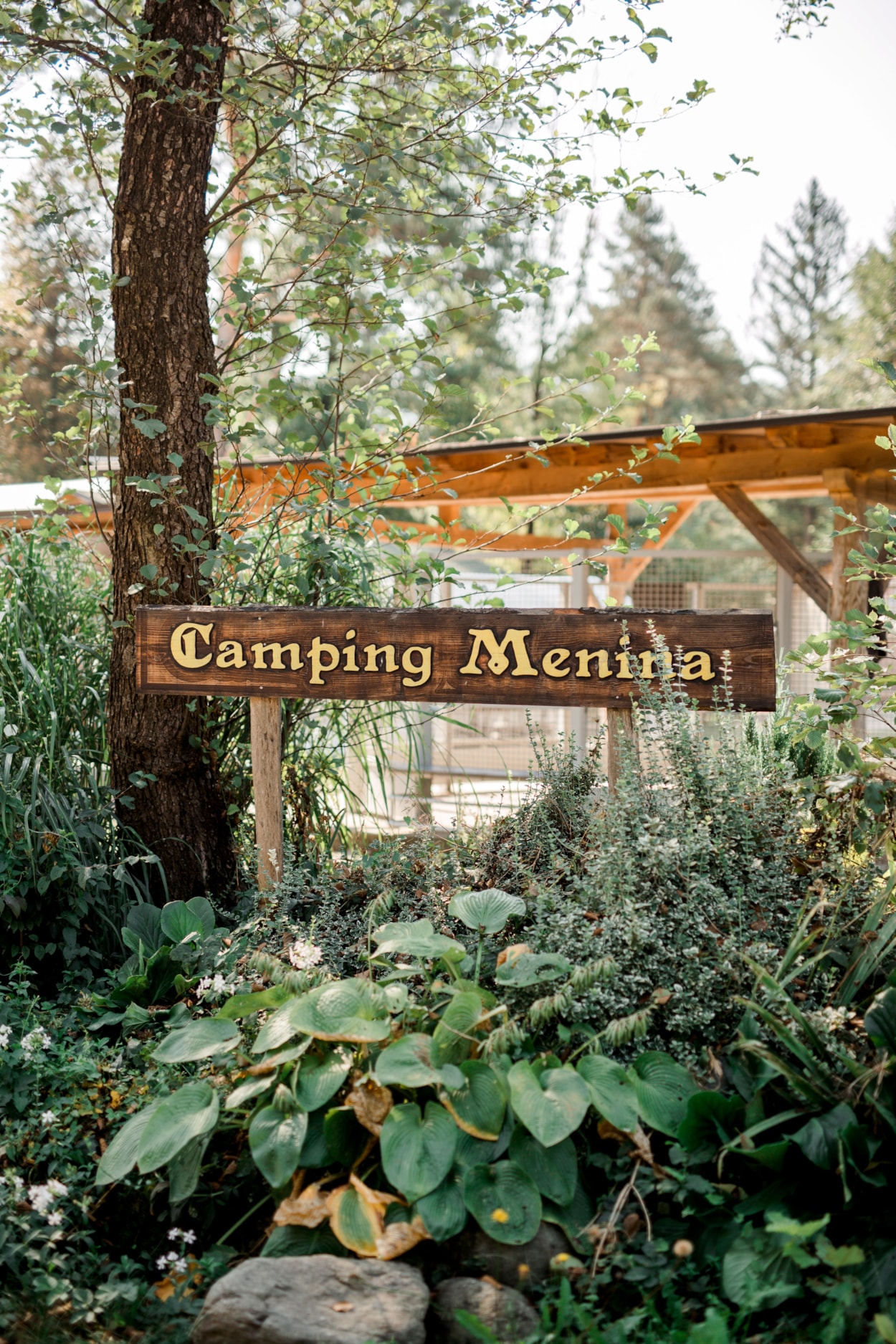 Camping Menina
