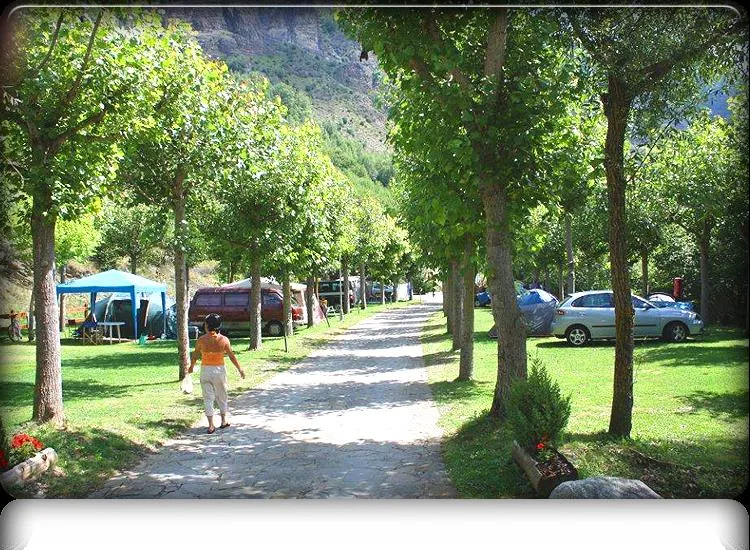 Pitch - Pitch With Electricity - CAMPING VORAPARC