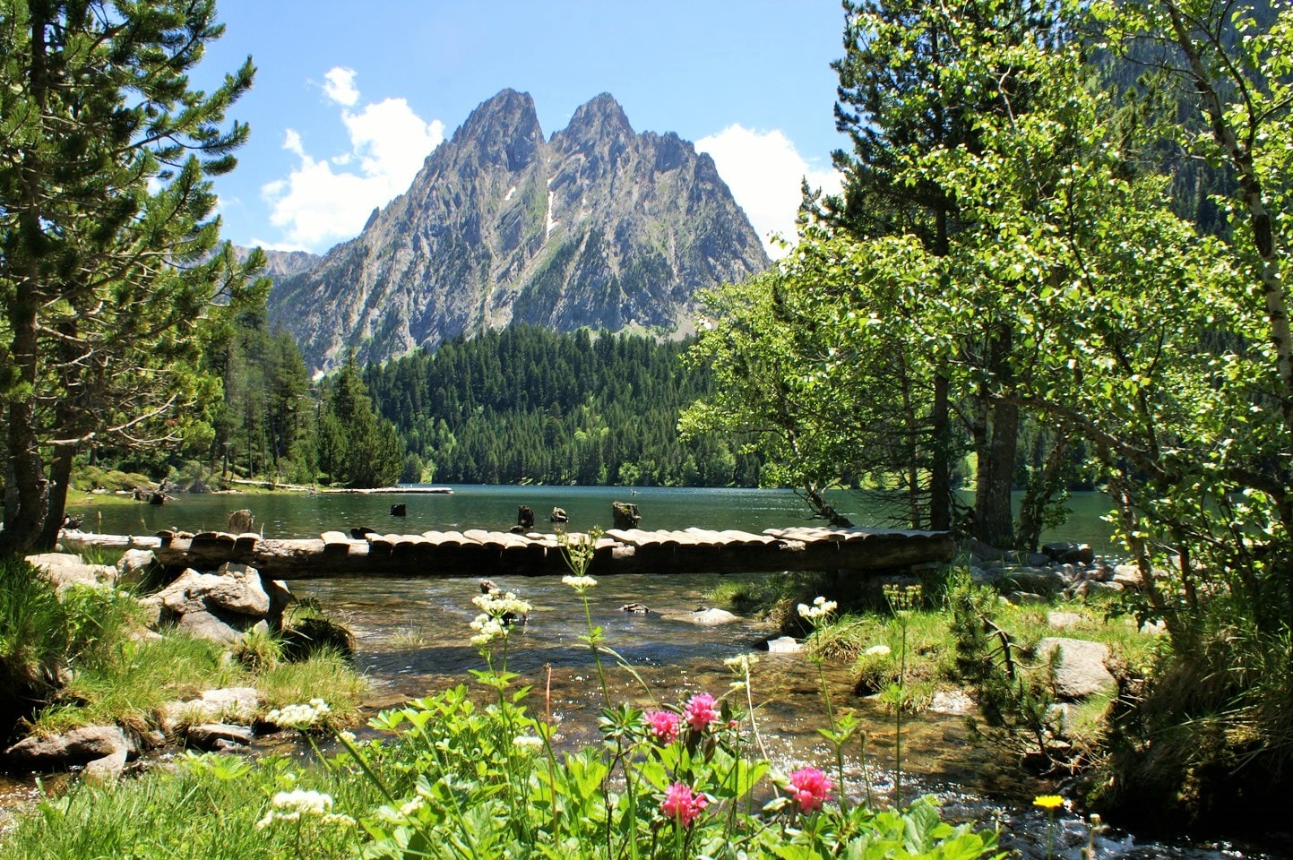 CAMPING VORAPARC — Foto 1