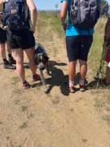 Foto #27 van Camping La Bageasse