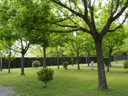 Emplacement - Emplacement De Camping - image n°3 - CAMPING LE MAS DU SARTRE
