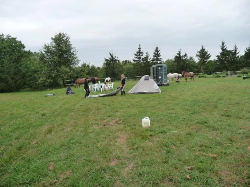 Le Domaine du CASTEX - Camping & Hébergement