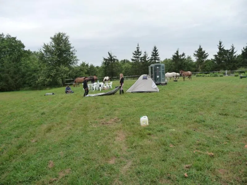 Le Domaine du CASTEX - Camping & Hébergement - image n°6 - Camping Direct