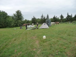 Le Domaine du CASTEX - Camping & Hébergement - image n°6 - Roulottes
