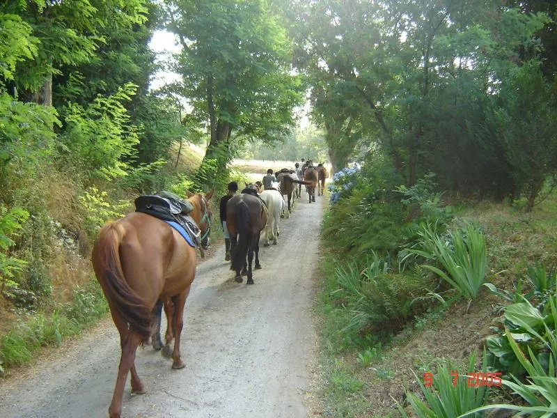 Le Domaine du CASTEX - Camping & Hébergement