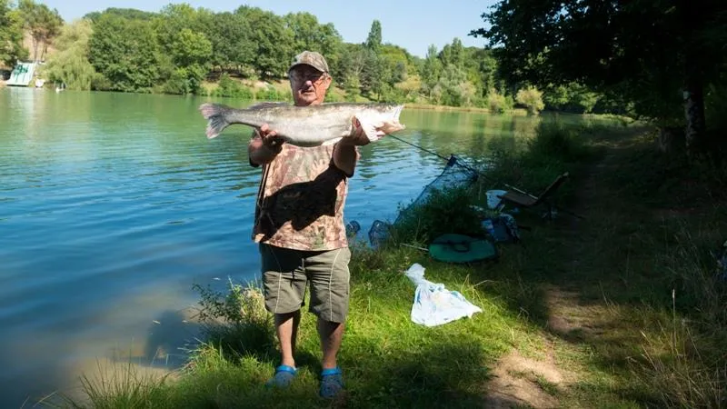 Le Domaine du CASTEX - Camping & Hébergement