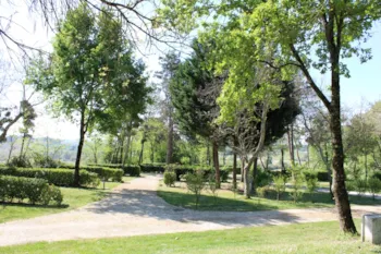 Stellplatz - Pauschale Stellplatz - Le Domaine du CASTEX - Camping & Hébergement