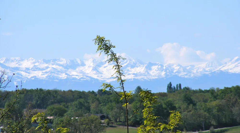 Le Domaine du CASTEX - Camping & Hébergement