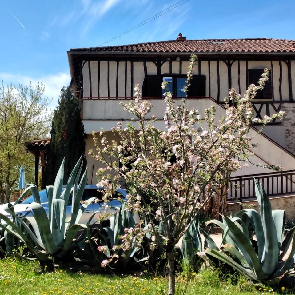 Le Domaine du CASTEX - Camping & Hébergement — Photo 4