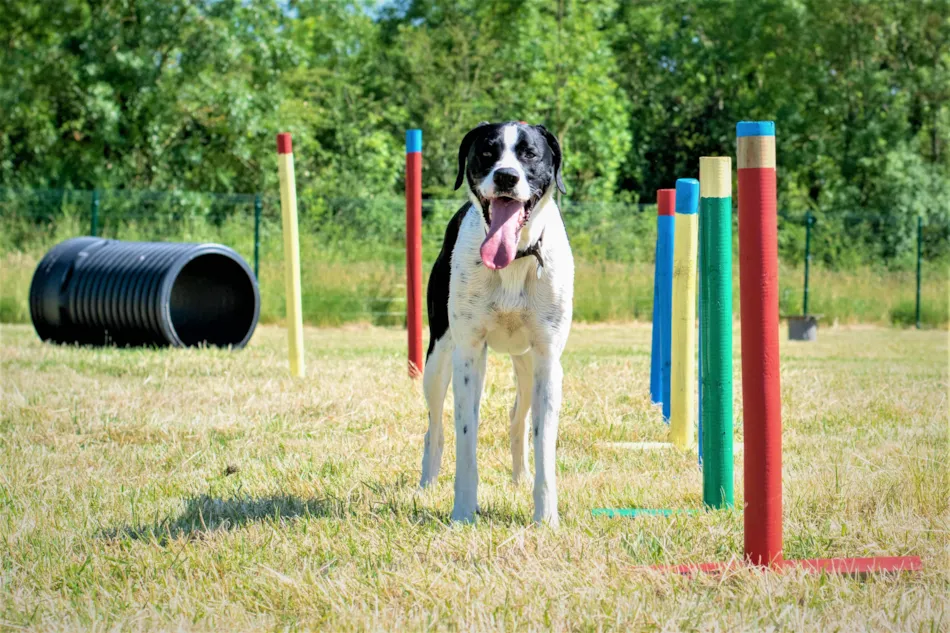 Camping du Port de Moricq