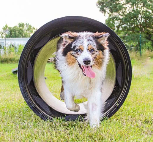 Camping du Port de Moricq