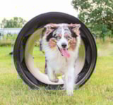 Foto #16 van Camping du Port de Moricq