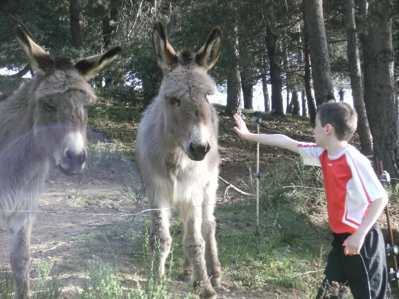 Domaine Camping  Les Roches