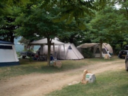 Kampeerplaats(en) - Pakket 1 Of 2 Persoons: Standplaats + Voertuig + Tent Of Caravan - Domaine Camping  Les Roches