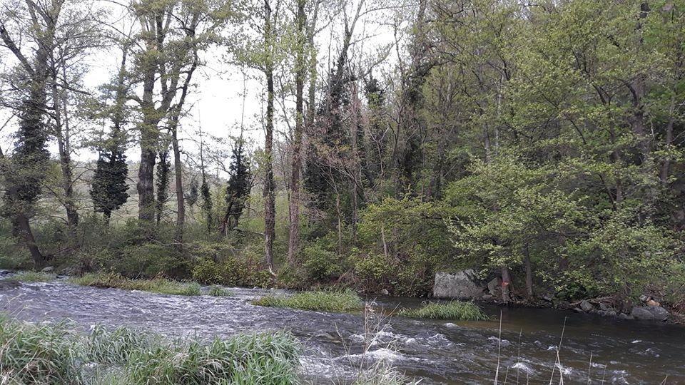 Domaine Camping  Les Roches — Photo 8