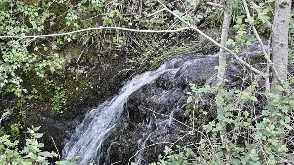 Domaine Camping  Les Roches