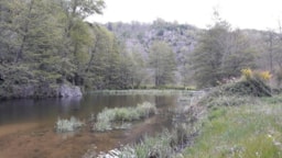 Domaine Camping  Les Roches - image n°27 - Roulottes
