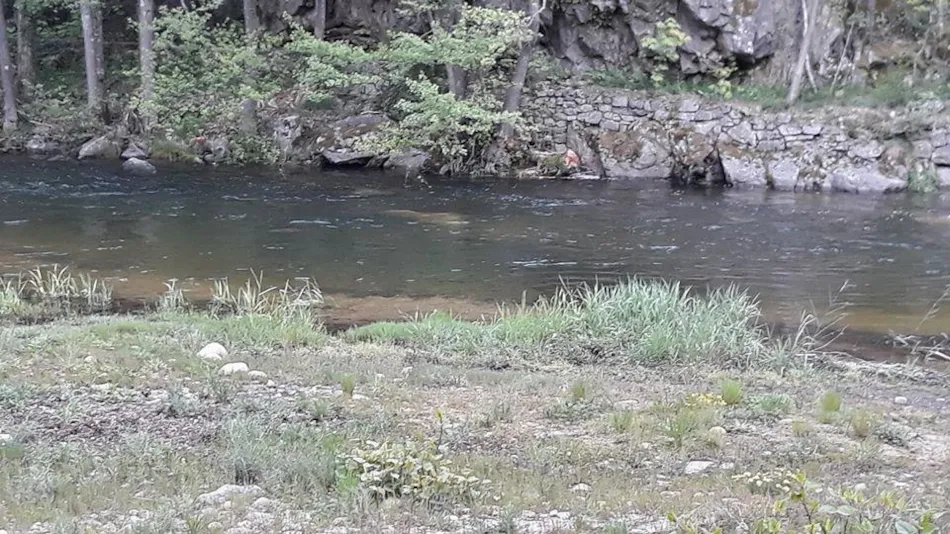 Domaine Camping  Les Roches