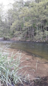 Foto #30 van Domaine Camping  Les Roches