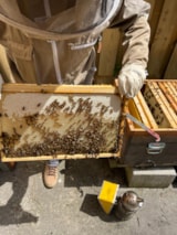 Foto #34 van Camping Linda