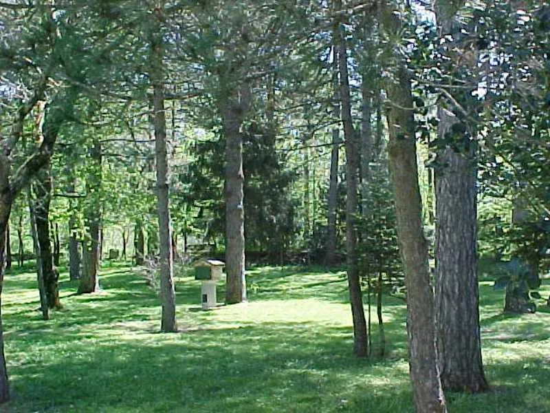 Emplacement - Tente Moyenne