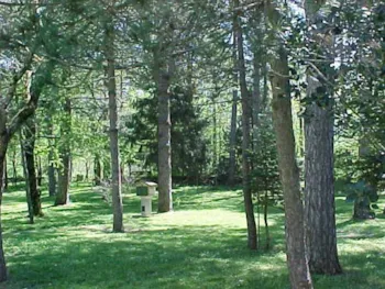Pitch - Pitch - Maggiolina - Camping Villaggio Rio Verde