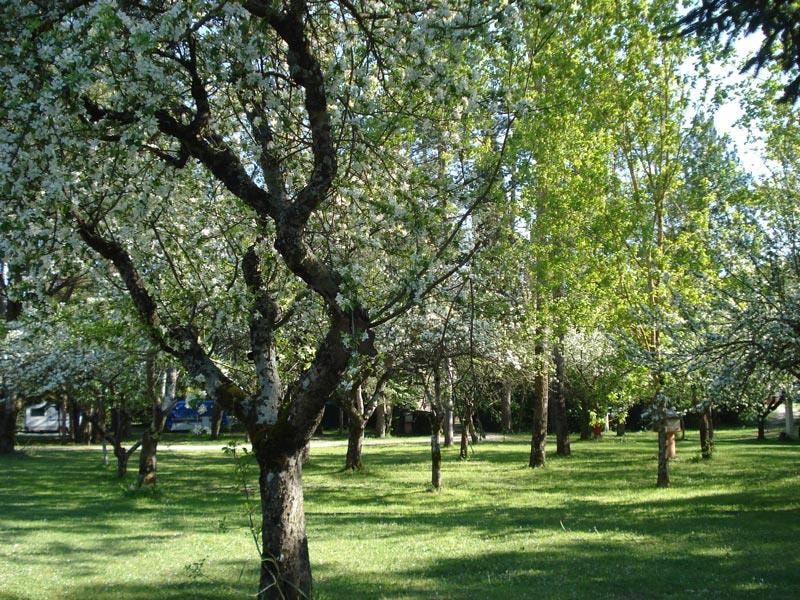 Camping Rio Verde photo 4