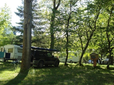Pitch - Camper — 2