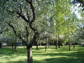 Pitch - Pitch - Camper - Camping Villaggio Rio Verde