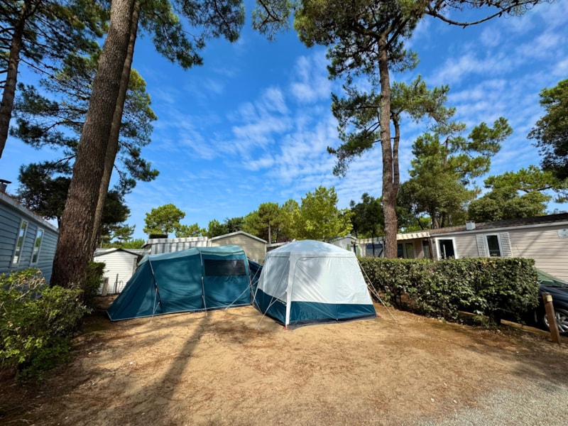 PREMIUM 3 chambres