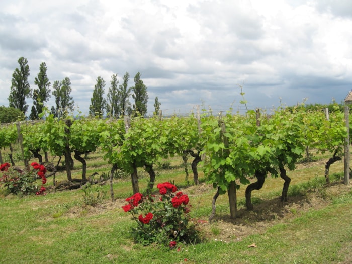 Camping Naturiste Le Coteau de l'Herm Infos et réservation