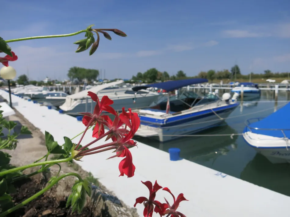 Club del Sole Tenuta Primero Grado Family Collection 