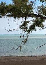 Foto #16 van Club del Sole Tenuta Primero Grado Family Collection