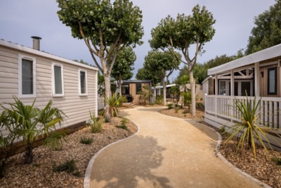 27m² 2-bedroom cottage - Premium — 4