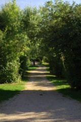 Foto #4 van Camping Gîte Le Verger – Baratier 05