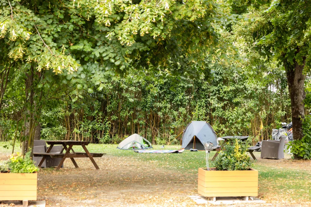 CAMPING LES VIOLETTES - image n°8 - Camping Direct
