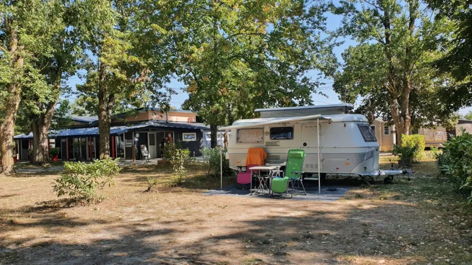 CAMPING LES VIOLETTES