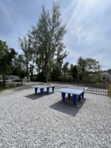 Foto #38 van Camping Les Violettes