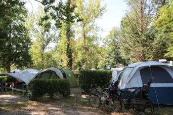 Stellplatz - Pauschale Für Stellplatz (2 Personen-Strom Und 1 Fahrzeug) - CAMPING LES VIOLETTES