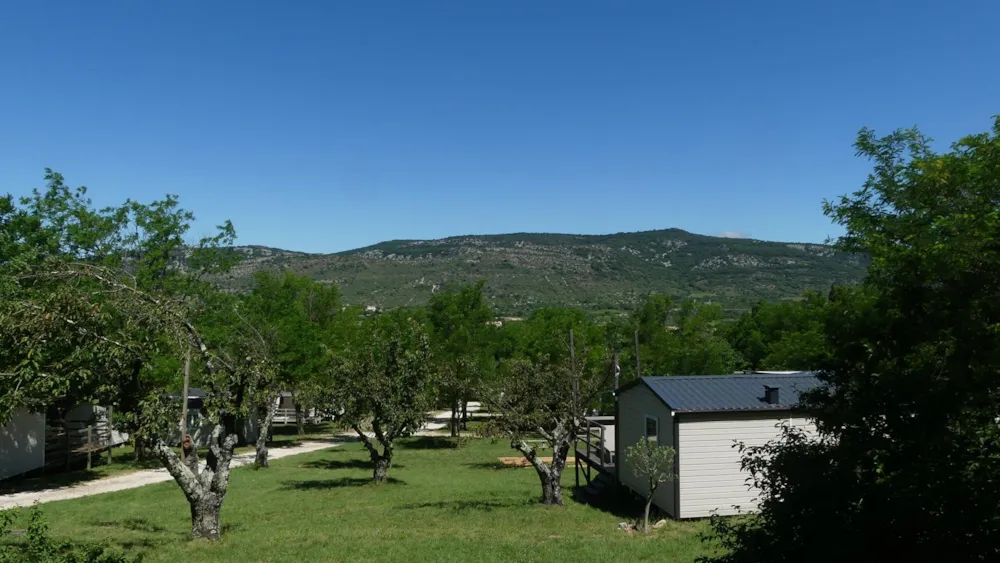 Camping La Résidence d'Eté - image n°7 - Ardeche