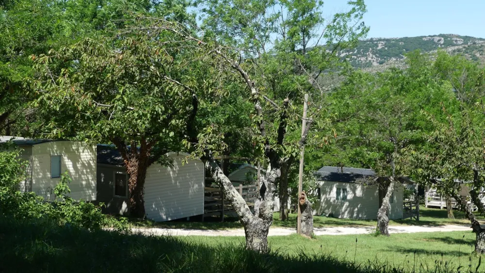 Camping La Résidence d'Eté - image n°8 - Ardeche