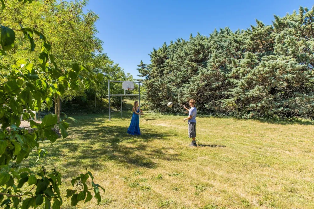 Camping La Résidence d'Eté - image n°33 - Ardeche