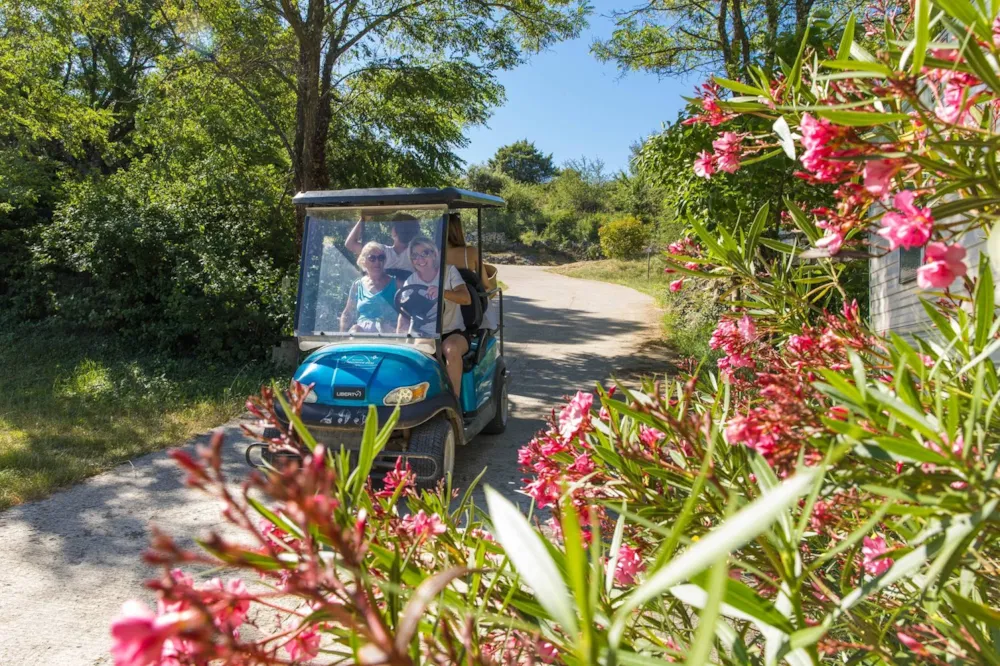 Camping La Résidence d'Eté - image n°6 - Ardeche