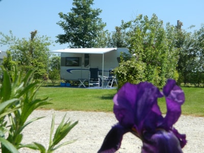 Confort Package: (car + tent or caravan + electricity)