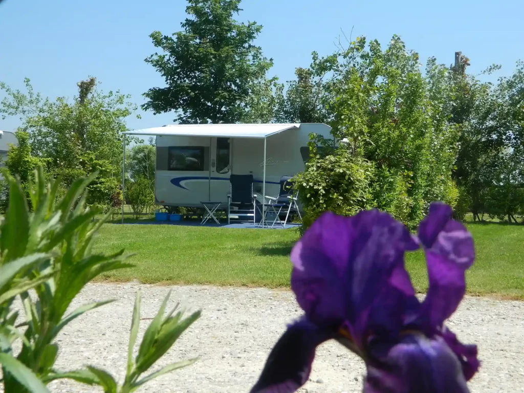 Camping Le Champ Neuf — Photo 7