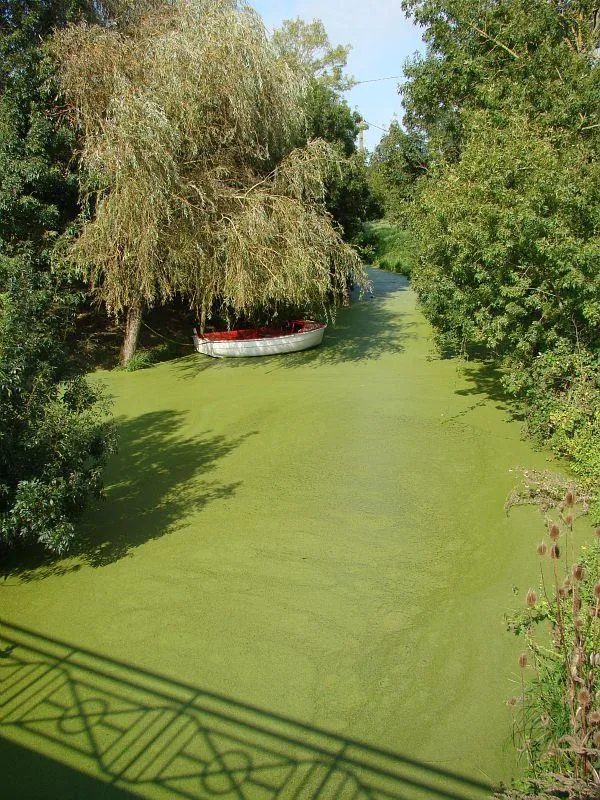 Camping Le Beaulieu