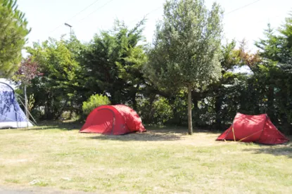 Forfait B Tente 2 Pers + Véhicule + Électricité