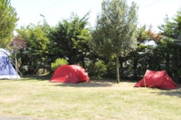 Pitch - Forfeit B Tent 2 People + Vehicle + Electricity - Camping Le Beaulieu