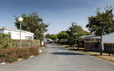 Camping Le Beaulieu - image n°2 - Camping Direct