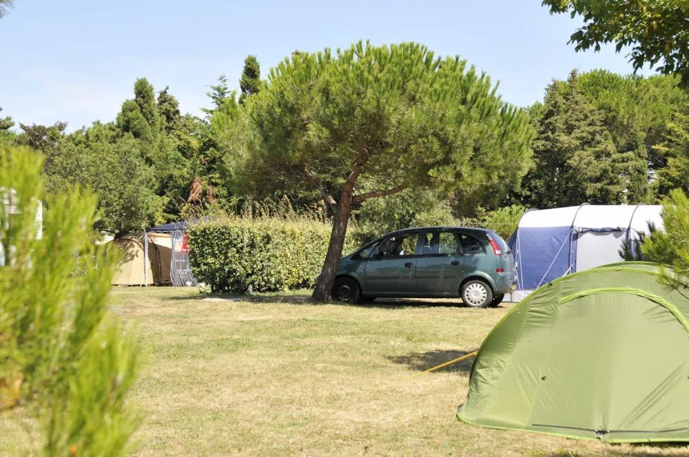Camping Le Beaulieu - image n°4 - Camping Direct